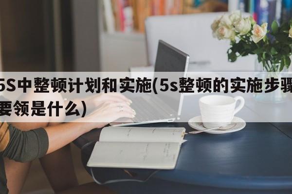 5S中整顿计划和实施(5s整顿的实施步骤要领是什么)