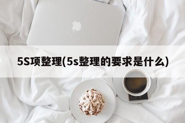 5S项整理(5s整理的要求是什么)